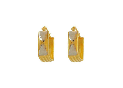 Dual Tone Plated | Fashion Earrings